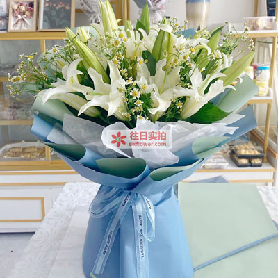 呼和浩特8支白色多头百合洋甘菊，互倾的思念