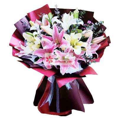 呼和浩特8支百合花，天天开心
