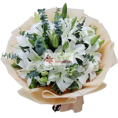 呼和浩特9支白色多头百合，祝福你幸福